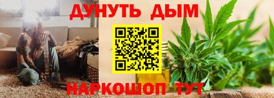 mdpv Краснознаменск