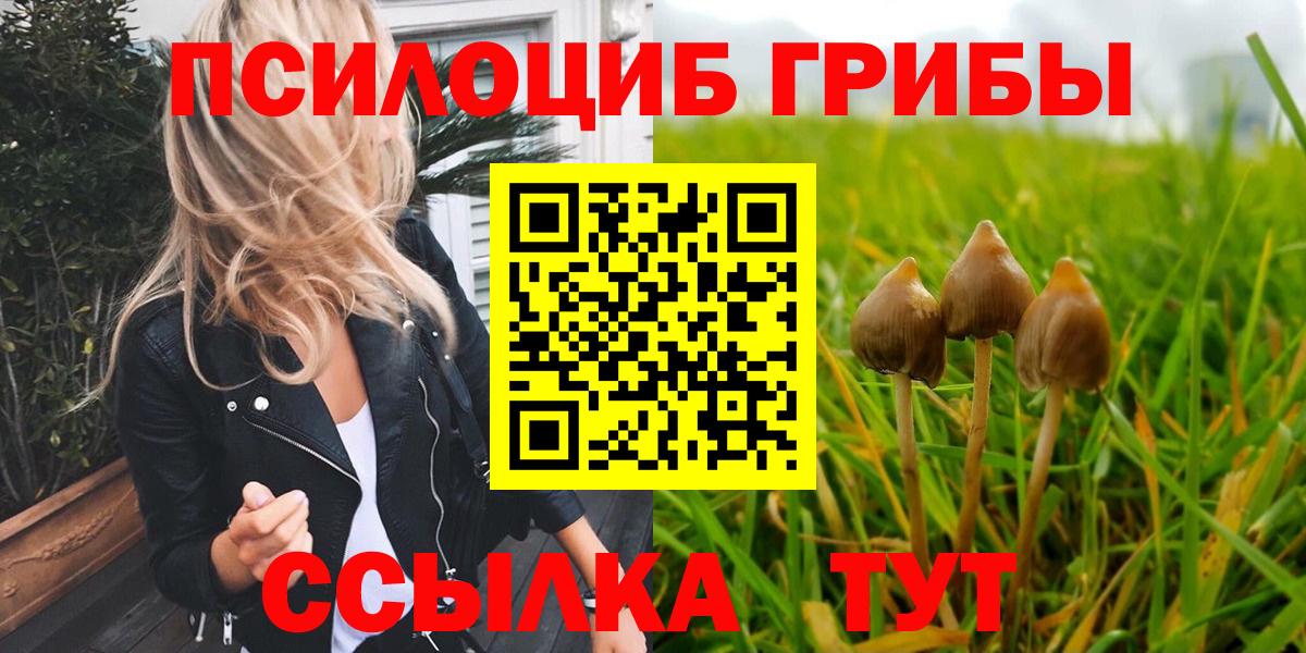 Галлюциногенные грибы Psilocybe Коломна