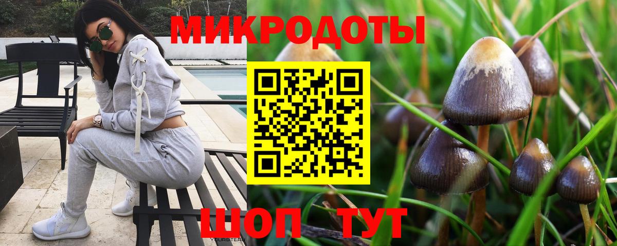 где купить наркоту  Псилоцибиновые грибы ЛСД  Вход с VPN  Коломна  Галлюциногенные грибы Magic Shrooms 